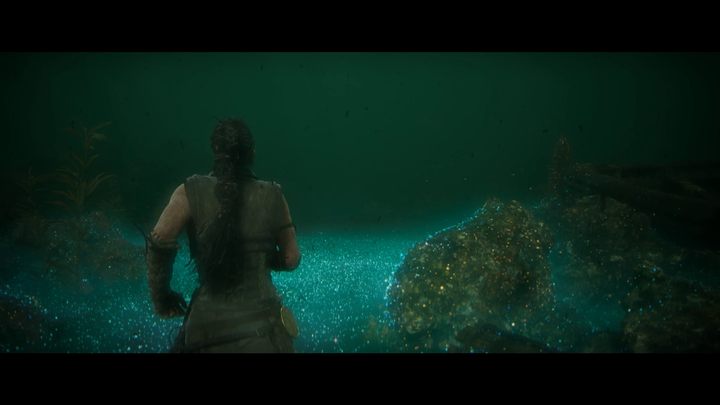 51 - Hellblade 2: Bardarvik Chapter 5 - Walkthrough - Hellblade 2 Senuas Saga Guide