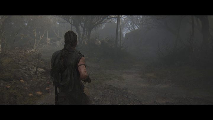 There are no collectibles in the sixth chapter of Hellblade 2 - Hellblade 2: Borgarvirki Chapter 6 - Walkthrough - Hellblade 2 Senuas Saga Guide