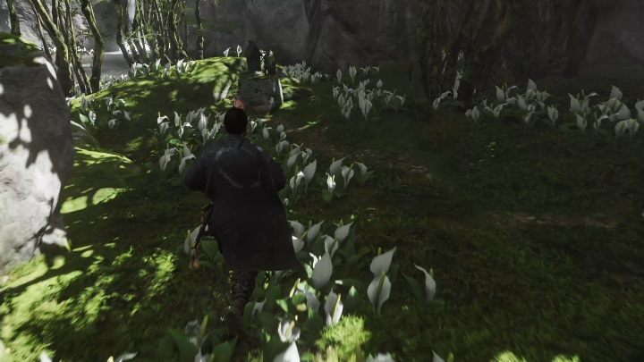 Youll find this fox den in the middle of the forest - Ghost of Tsushima: Inari Shrines, Toyotama Region secrets map, video guide - Toyotama Region - Ghost of Tsushima Guide, Walkthrough