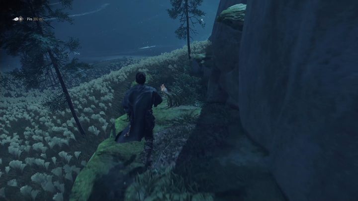 Youll find this fox den next to a path near a glade full of white flowers - Ghost of Tsushima: Inari Shrines, Toyotama Region secrets map, video guide - Toyotama Region - Ghost of Tsushima Guide, Walkthrough