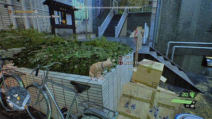 In the case of cats, two main interactions are available - Ghostwire Tokyo: Dogs and cats - can you pet them? - FAQ - Ghostwire Tokyo Guide