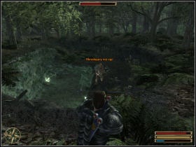Your job is to kill a group of Ogres living in the cave near Trelis - Trelis - Myrtana - Gothic 3 - Game Guide and Walkthrough