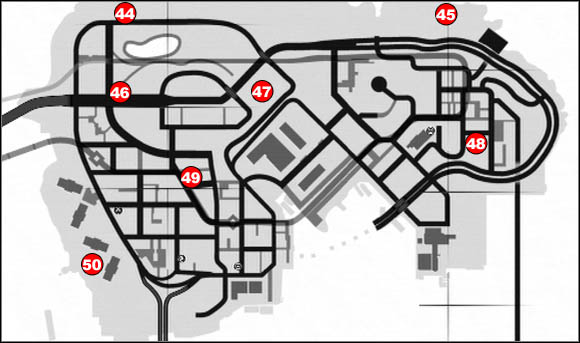 1 - Additional activities - Seagulls - Additional activities - Grand Theft Auto IV: The Lost and Damned - Game Guide and Walkthrough