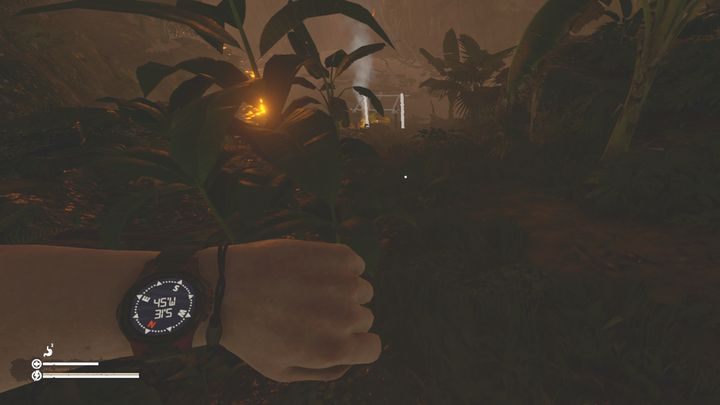 Local water is unsafe, so you have a chance to drink it directly from the reservoir and not get parasites - Green Hell: Best camping place - where? - FAQ - Green Hell Guide