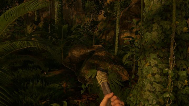 However, this site has one significant disadvantage - Green Hell: Best camping place - where? - FAQ - Green Hell Guide