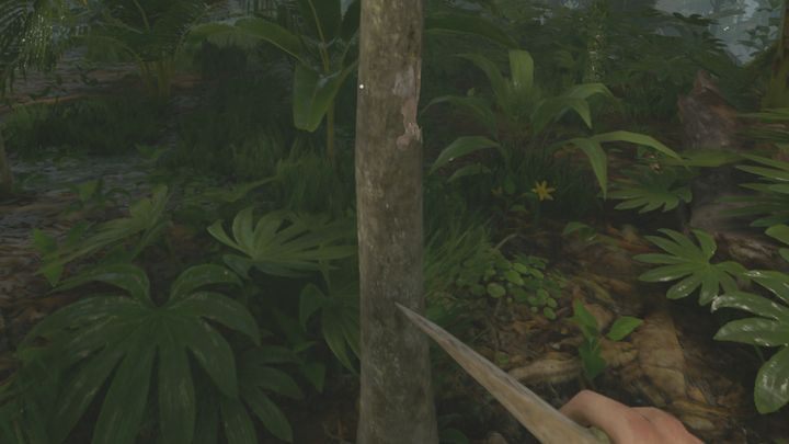 Blade is a tool that allows you to process wood and get meat from dead animals - Green Hell: Most useful blueprints - which? - FAQ - Green Hell Guide