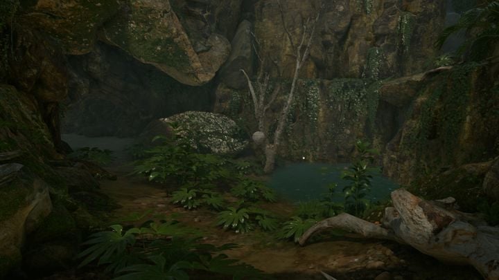 If you go north of the drug camp, you will encounter a small oasis - Green Hell: Interesting places - where on the map? - FAQ - Green Hell Guide