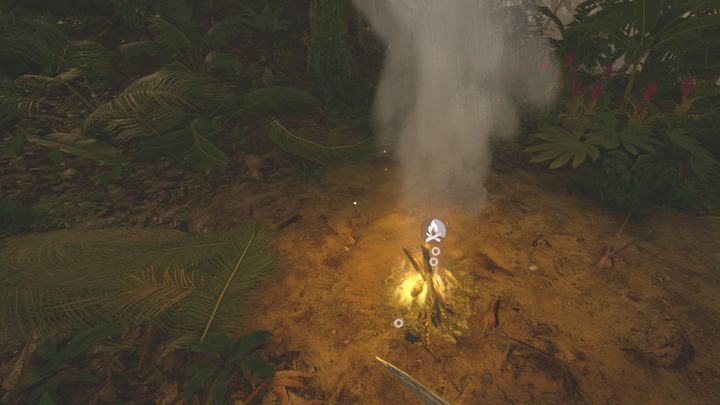 1 - Green Hell: Interesting places - where on the map? - FAQ - Green Hell Guide