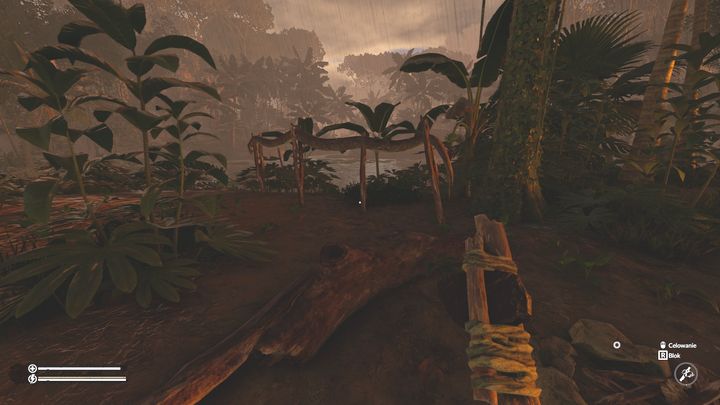 The locations coordinates are: 35W 26S - Green Hell: Interesting places - where on the map? - FAQ - Green Hell Guide