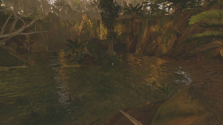On the map, youll find only one stream with clean water - Green Hell: Clean water - where to find? - FAQ - Green Hell Guide