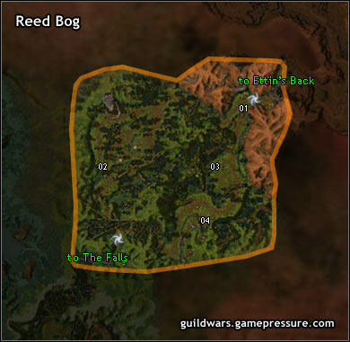 Reed Bog