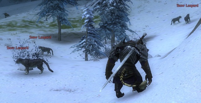 Place of monsters increased activity. Here you can find a lot of fine crafting materials. - Battle loot - Crafting - Guild Wars 2 - Game Guide and Walkthrough