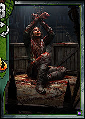 Ciaran - Gwent The Witcher Card Game: ScoiaTael Premade decks - Gwent The Witcher Card Game: Premade decks - Gwent: The Witcher Card Game Guide