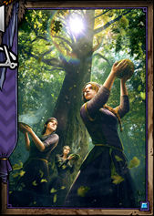 Priestess of Freya - Gwent The Witcher Card Game: Skellige Premade decks - Gwent The Witcher Card Game: Premade decks - Gwent: The Witcher Card Game Guide