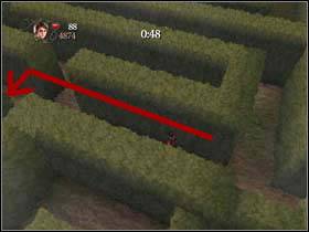 Now you are in this place - Harry Potter and the Goblet of Fire: Triwizard task 3 - The maze - Harry Potter and the Goblet of Fire: Walkthrough - Harry Potter and the Goblet of Fire Game Guide & Walkthrough