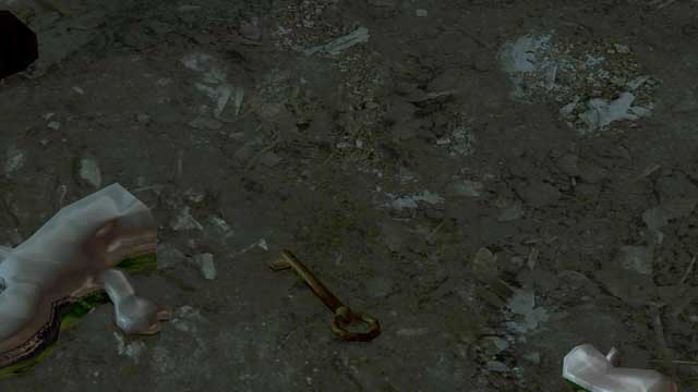 Break the green lizard, the second one counting from the entrance - The Lizard | Heavy Rain Walkthrough - Walkthrough - Heavy Rain HD Guide