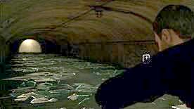 Chapter: The Butterfly - Chapters: Paparazzi - The Lizard | Heavy Rain Achievements - Achievements / Trophies - Heavy Rain HD Guide