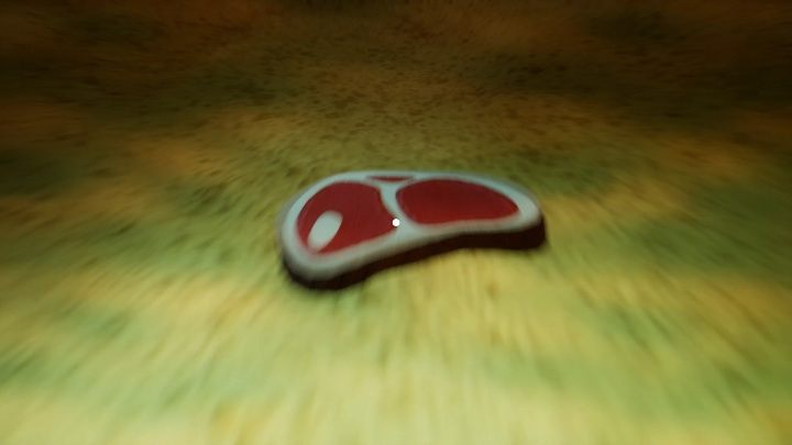 A piece of meat for the lion is hidden under water - What is the locations of all the toys in Hello Neighbor Hide and Seek? - FAQ - Hello Neighbor Hide and Seek Guide