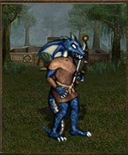 Attack: 6 - Fortress - Units - Heroes of Might & Magic III: HD Edition - Game Guide and Walkthrough