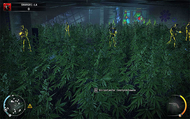 The marijuana field is located in the residential building occupied by junkies - 4: Run For Your Life | Challenges - Challenges - Hitman: Absolution Game Guide