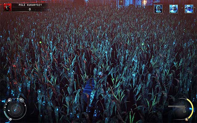 Ignore the main entrance to the farm and proceed towards the nearest cornfield - Cornfield - Murdering Louisa Candy Cain | 14: Attack of the Saints - 14: Attack of the Saints - Hitman: Absolution Game Guide
