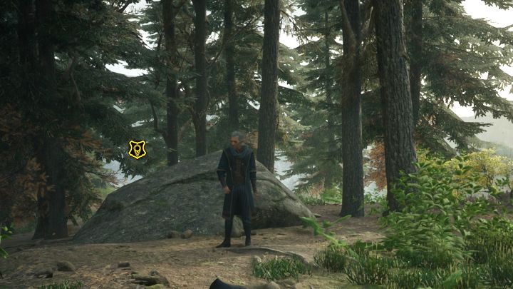 To be able to start this quest, your hero needs to be on level 11 - Hogwarts Legacy: Percival Rackhams Trial - Hogwarts Legacy: Main quests - Hogwarts Legacy Guide