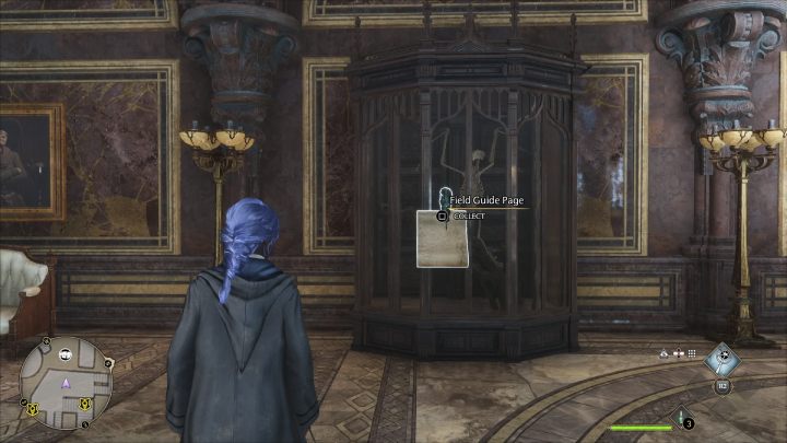 Name: Augurey Skeleton - Hogwarts Legacy: The Astronomy Wing - Hogwarts Legacy: Field guide pages - Hogwarts Legacy Guide