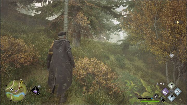 The only problematic group of insects to find is to the east of the Merlin Trial platform between two trees, so don't be afraid to go deeper into the forest to find them - Hogwarts Legacy: Hogwarts Valley - all Merlin Trials - Hogwarts Legacy: Merlins Trials - Hogwarts Legacy Guide