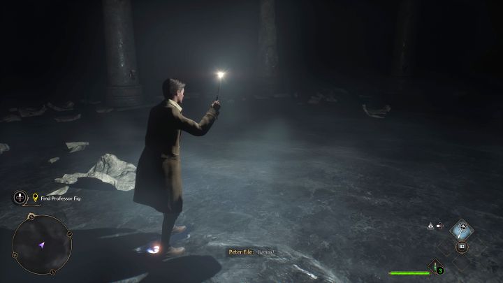 At the beginning of the game, your newly created hero has a wand, albeit its looks are imposed from above - Hogwarts Legacy: How to receive a customized Wand? - Hogwarts Legacy: Main character - Hogwarts Legacy Guide