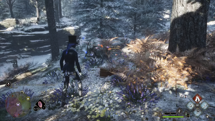 When you cross the bridge, the butterflies will fly back above the path - Hogwarts Legacy: Follow the Butterflies - Hogwarts Legacy: Hogsmeade Side Quests - Hogwarts Legacy Guide