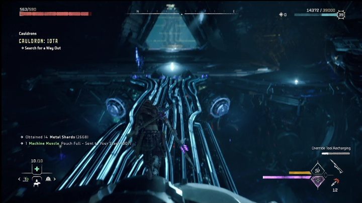 Continue on and you will encounter opponents - Horizon Forbidden West: Tallneck (Salt Bite) - location - Salt Bite - Horizon Forbidden West Guide