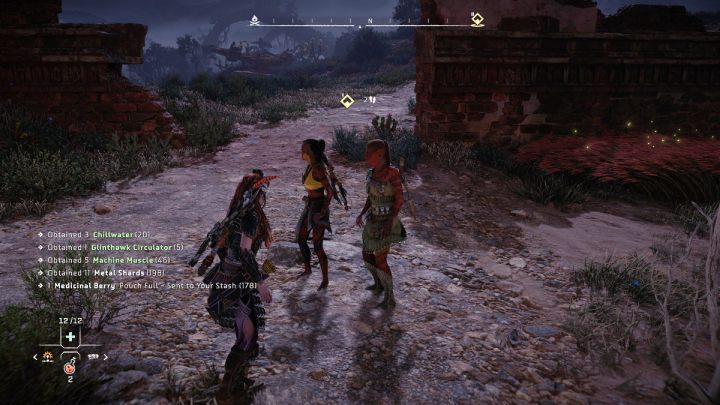 Once you have destroyed all the machines, talk to Jaxx and Sokorra - Horizon Forbidden West: A Tribe Apart - walkthrough - Side quests - Horizon Forbidden West Guide