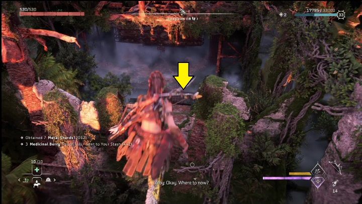 7 - Horizon Forbidden West: The Bill - how to get it? - Ornaments - Horizon Forbidden West Guide