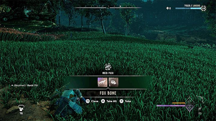 The quality of loot wild animals drop is unfortunately random - Horizon Forbidden West: How to hunt wild animals? - Exploration - Horizon Forbidden West Guide