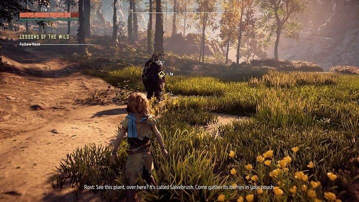 Description: Learned to fight and hunt alongside Rost - Horizon Zero Dawn: Trophy Guide, achievements list - Appendix - Horizon Zero Dawn Guide, Walkthrough