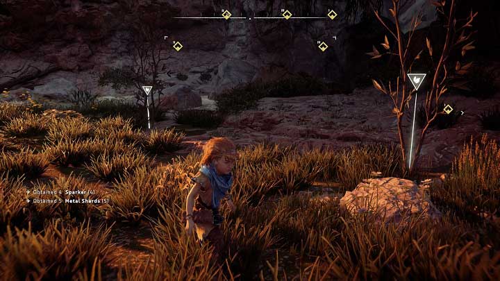 Horizon Zero Dawn: Lessons of the Wild walkthrough, tips | gamepressure.com