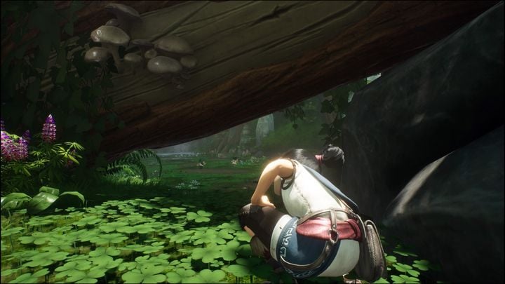 The first way is to walk - Kena Bridge of Spirits: Exploration - Basics - Kena Bridge of Spirits Guide