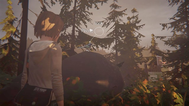 Youll find the last but one photo Chile running away from Chloes house - Life is Strange: Chrysalis - photos - Choices and decisions - Life is Strange Game Guide & Walkthrough