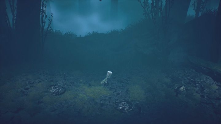 You will see a path with several snares set up - Little Nightmares 2: Road through the Forest - Chapter 1 walkthrough - Chapter 1 - Forest - Little Nightmares 2 Guide