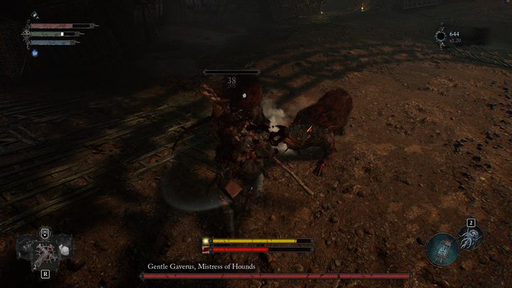 Initially, you will face two hounds, but later on more may appear from the nearby cages placed in the arena - Lords of the Fallen: How to beat Gentle Gaverus, Mistress of Hounds? - Main - Lords of the Fallen Guide