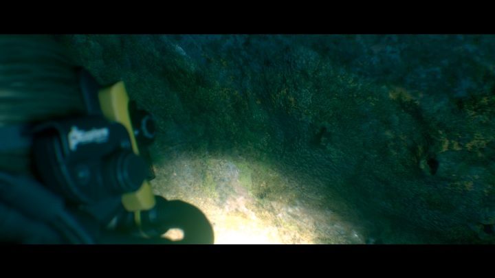 Chapter - Dive - Secrets | The Dark Pictures Man of Medan Guide - Secrets - The Dark Pictures Man of Medan Guide