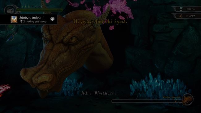 Trophy type: silver - Trophies in MediEvil - Appendix - MediEvil Guide