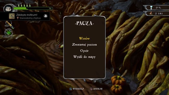 Trophy type: bronze - Trophies in MediEvil - Appendix - MediEvil Guide