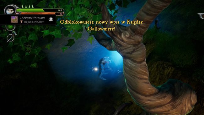 Trophy type: bronze - Trophies in MediEvil - Appendix - MediEvil Guide