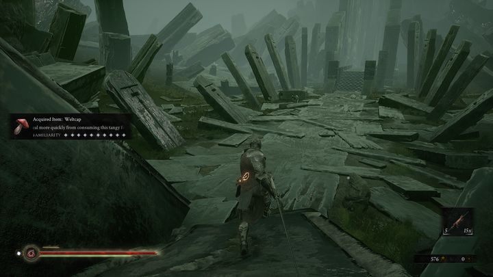 Eredrim is characterized by the biggest amount of health out of all Shells - Mortal Shell: Shells - list - Basics - Mortal Shell Guide, Walkthrough