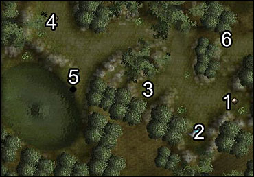 (1) - Bull' s Strength; (2) - Barkskin; (3) - Cat's Grace; (4) - Owl's Wisdom - Elanee (Act I) - Miscellaneous quests - Neverwinter Nights 2 - Game Guide and Walkthrough