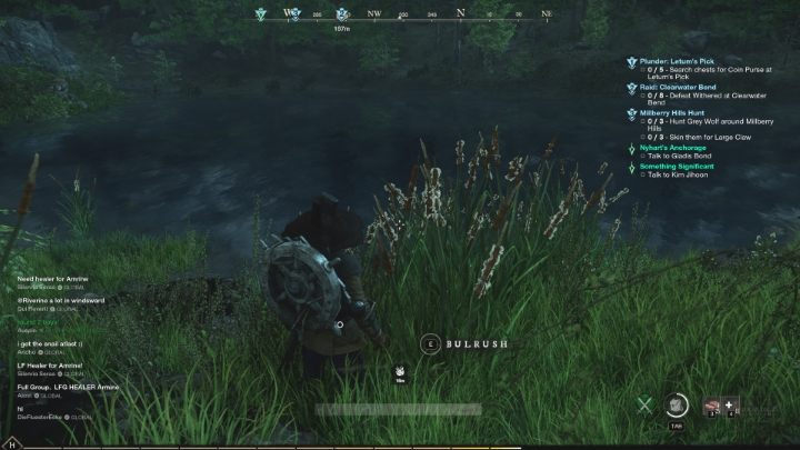 Bulrush cobs, on the other hand, can be found in the vicinity of lakes and rivers - New World: Health potions - how to make? - FAQ - New World Guide