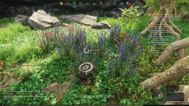 Sourcing materials for crafting also earns you some experience - New World: Experience - how to gain quickly? - FAQ - New World Guide