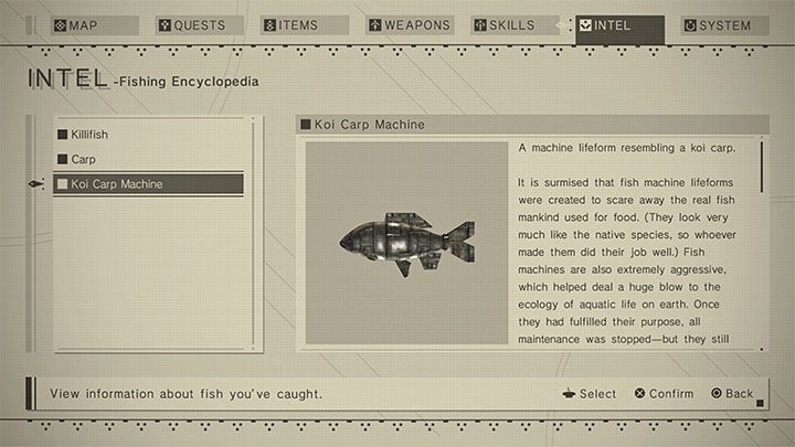 In most cases, you will get a fish - there are 41 species - NieR Automata: Fishing - how to fish? - FAQ - NieR Automata Guide