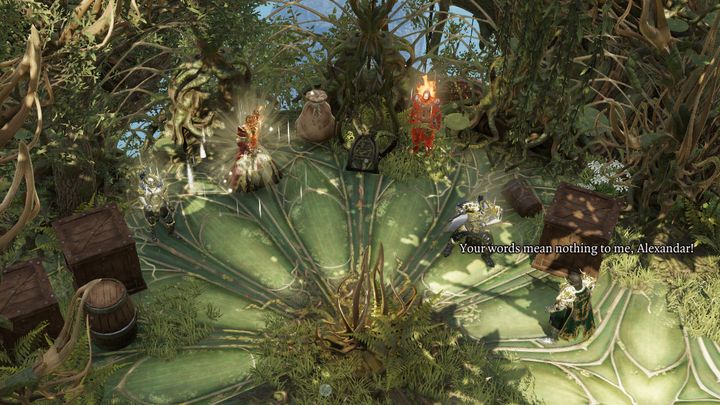 He can help you reach The Academy but, in exchange, he wants you to kill Sallow Man - A Rare Prey | Fort Joy | Reapers Coast | Nameless Isle - Chapter IV - Reapers Coast - Divinity Original Sin 2 Guide